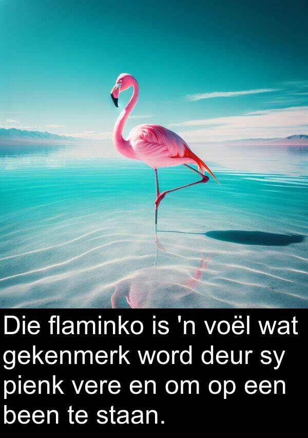 pienk: Die flaminko is 'n voël wat gekenmerk word deur sy pienk vere en om op een been te staan.