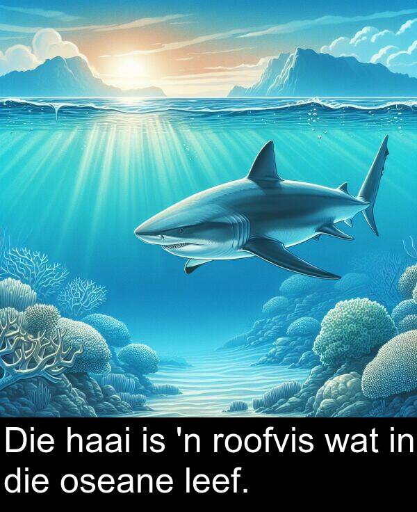 haai: Die haai is 'n roofvis wat in die oseane leef.