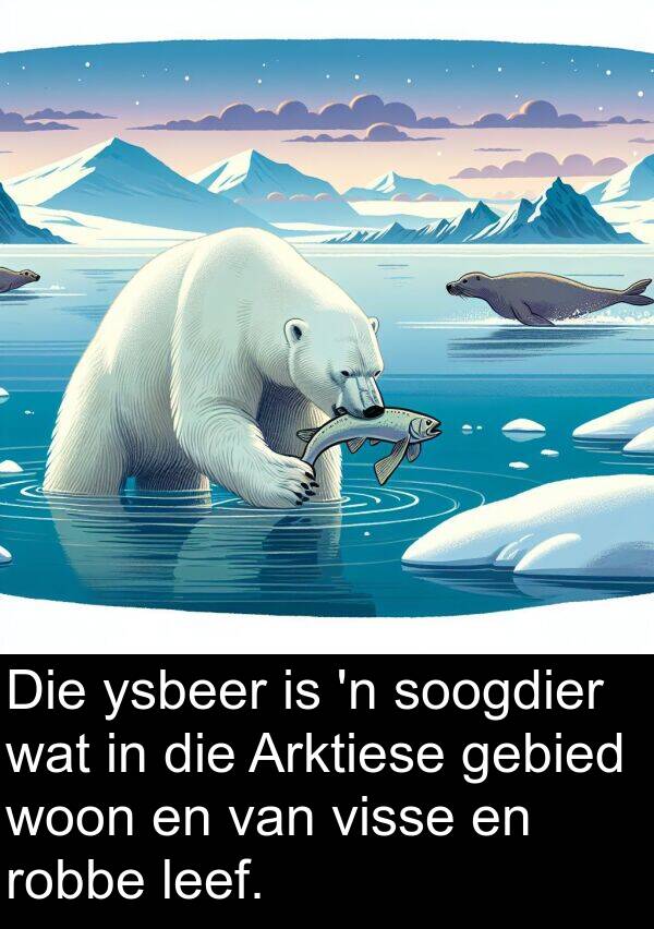 gebied: Die ysbeer is 'n soogdier wat in die Arktiese gebied woon en van visse en robbe leef.