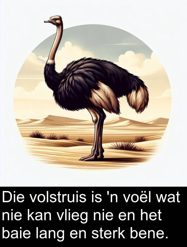 bene: Die volstruis is 'n voël wat nie kan vlieg nie en het baie lang en sterk bene.