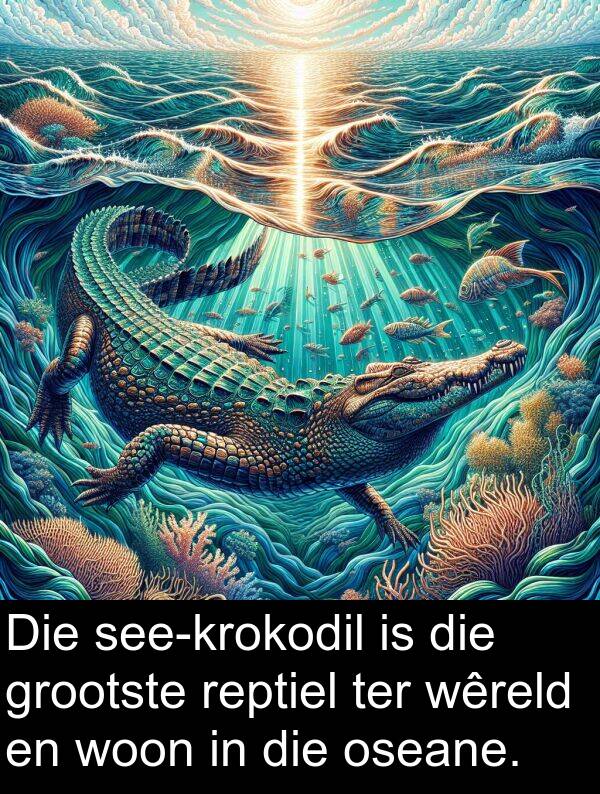 ter: Die see-krokodil is die grootste reptiel ter wêreld en woon in die oseane.