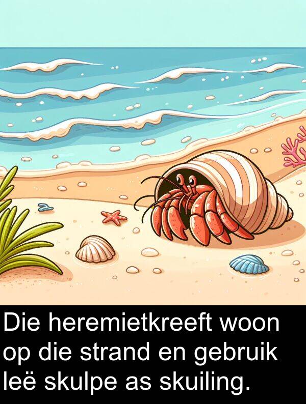 gebruik: Die heremietkreeft woon op die strand en gebruik leë skulpe as skuiling.