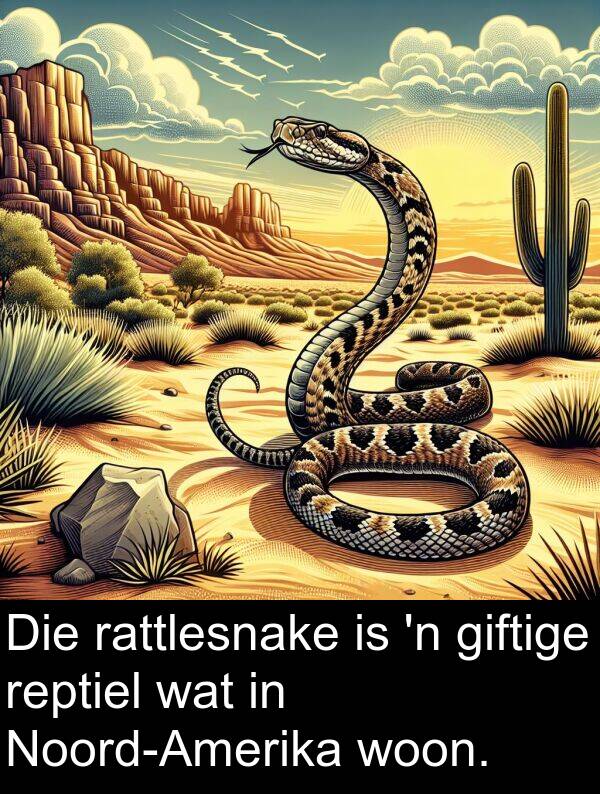 woon: Die rattlesnake is 'n giftige reptiel wat in Noord-Amerika woon.