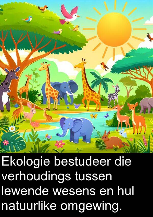 bestudeer: Ekologie bestudeer die verhoudings tussen lewende wesens en hul natuurlike omgewing.