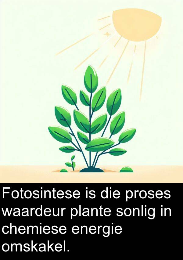 chemiese: Fotosintese is die proses waardeur plante sonlig in chemiese energie omskakel.