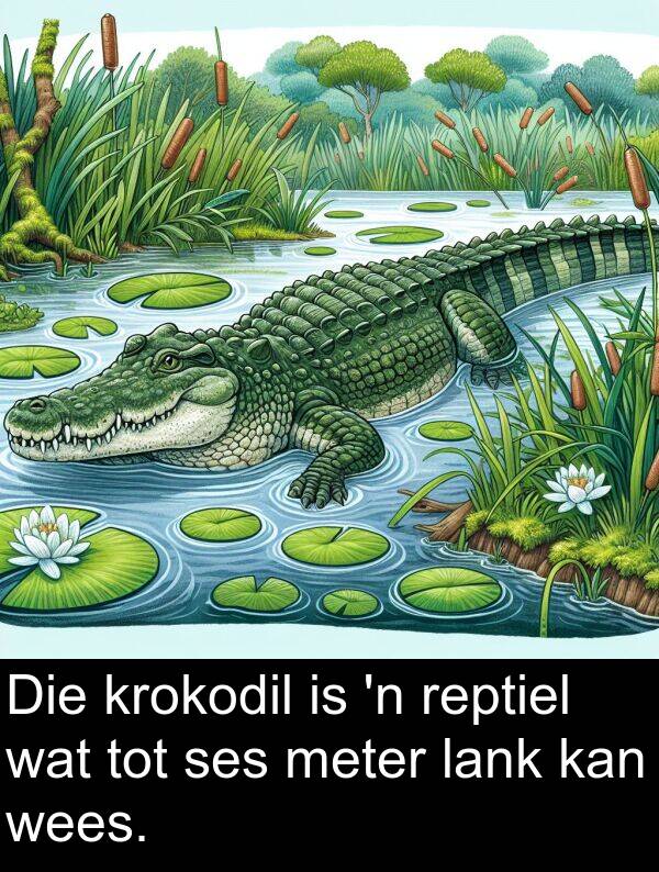 tot: Die krokodil is 'n reptiel wat tot ses meter lank kan wees.