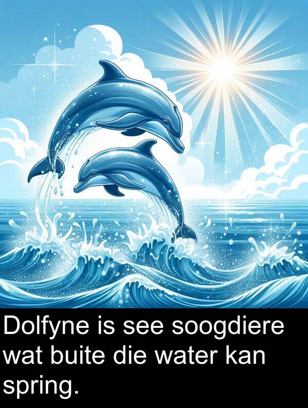 water: Dolfyne is see soogdiere wat buite die water kan spring.