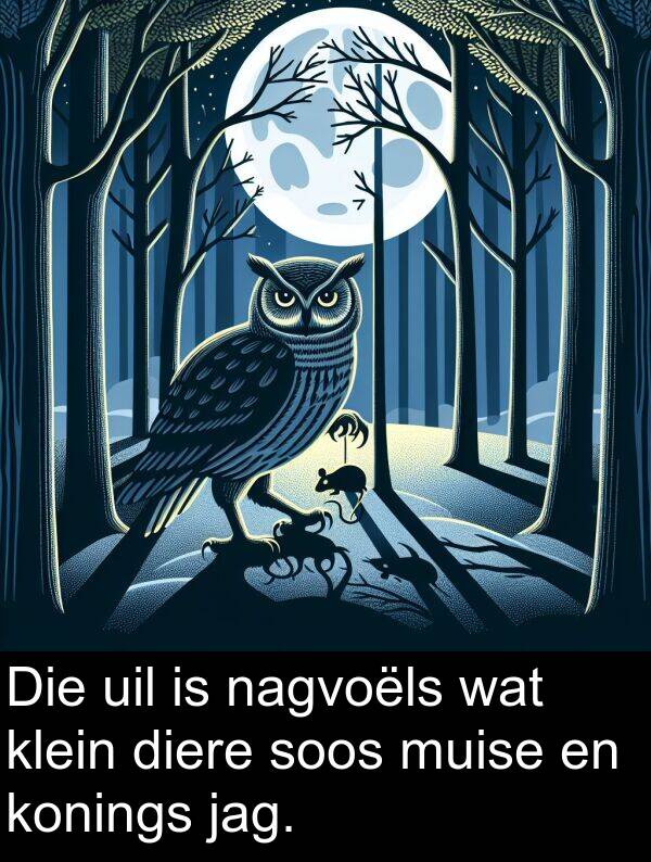 nagvoëls: Die uil is nagvoëls wat klein diere soos muise en konings jag.