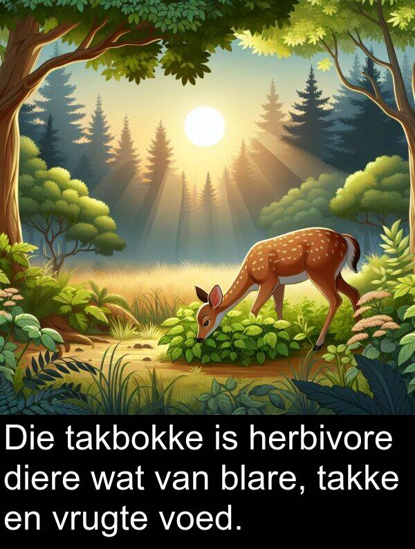 takke: Die takbokke is herbivore diere wat van blare, takke en vrugte voed.