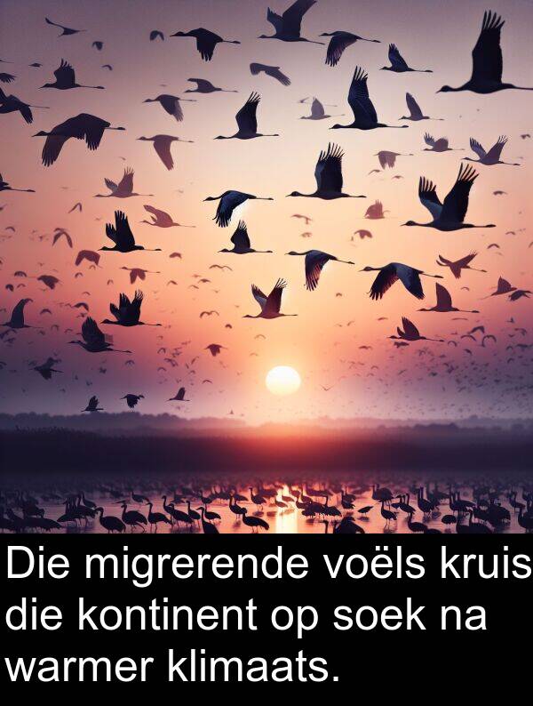 klimaats: Die migrerende voëls kruis die kontinent op soek na warmer klimaats.