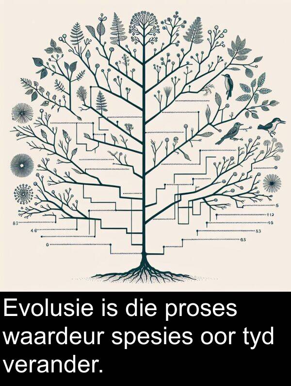 proses: Evolusie is die proses waardeur spesies oor tyd verander.