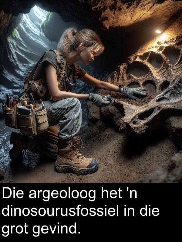 dinosourusfossiel: Die argeoloog het 'n dinosourusfossiel in die grot gevind.