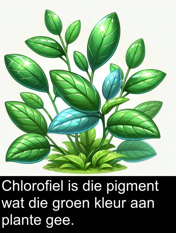 pigment: Chlorofiel is die pigment wat die groen kleur aan plante gee.