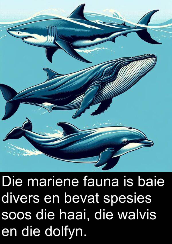 fauna: Die mariene fauna is baie divers en bevat spesies soos die haai, die walvis en die dolfyn.