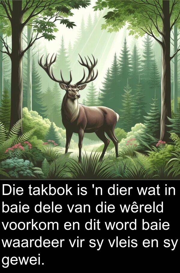 takbok: Die takbok is 'n dier wat in baie dele van die wêreld voorkom en dit word baie waardeer vir sy vleis en sy gewei.