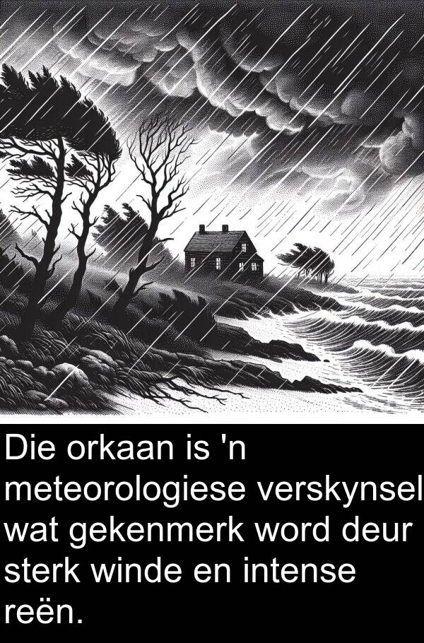 gekenmerk: Die orkaan is 'n meteorologiese verskynsel wat gekenmerk word deur sterk winde en intense reën.