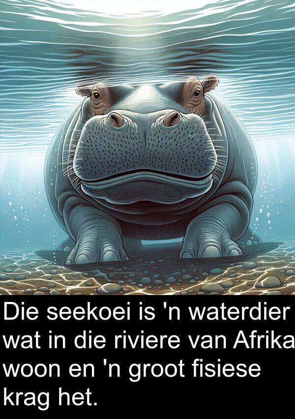 fisiese: Die seekoei is 'n waterdier wat in die riviere van Afrika woon en 'n groot fisiese krag het.