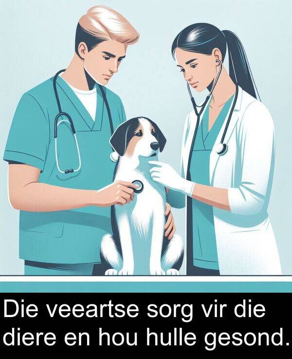 hulle: Die veeartse sorg vir die diere en hou hulle gesond.