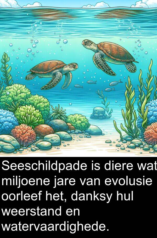 jare: Seeschildpade is diere wat miljoene jare van evolusie oorleef het, danksy hul weerstand en watervaardighede.