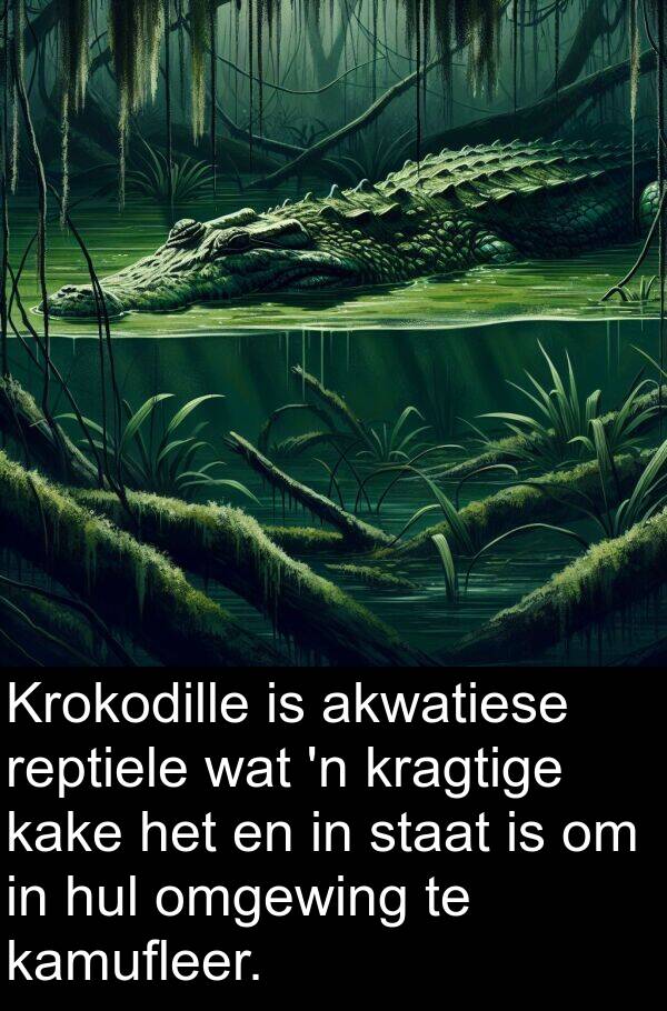 omgewing: Krokodille is akwatiese reptiele wat 'n kragtige kake het en in staat is om in hul omgewing te kamufleer.