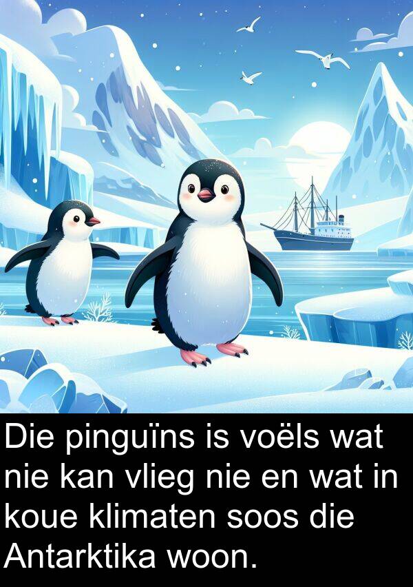 pinguïns: Die pinguïns is voëls wat nie kan vlieg nie en wat in koue klimaten soos die Antarktika woon.