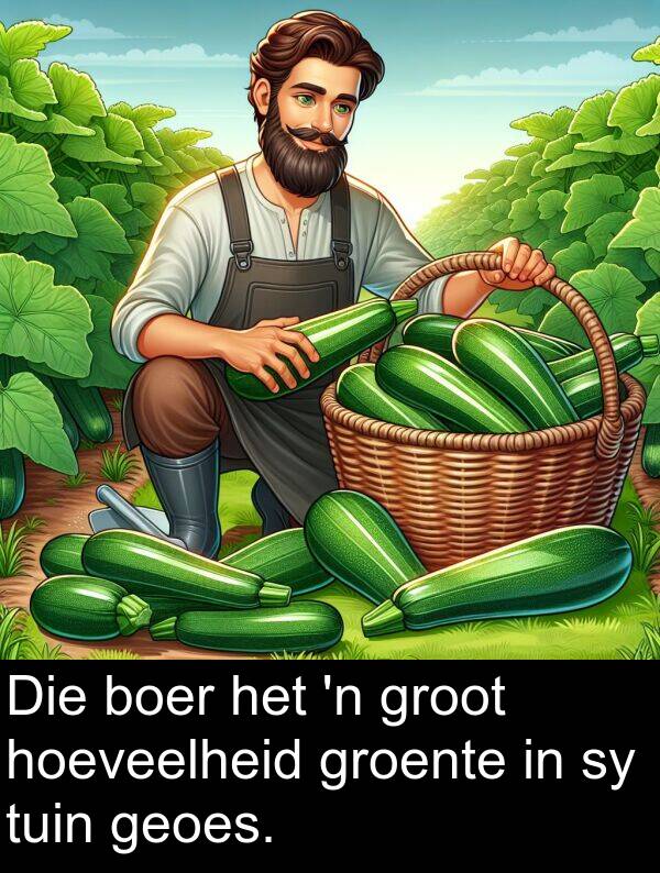 tuin: Die boer het 'n groot hoeveelheid groente in sy tuin geoes.