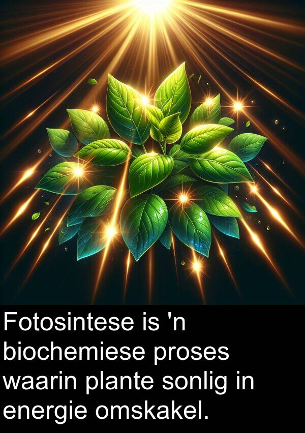 plante: Fotosintese is 'n biochemiese proses waarin plante sonlig in energie omskakel.