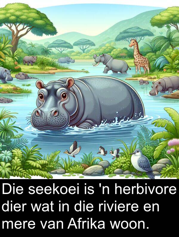 herbivore: Die seekoei is 'n herbivore dier wat in die riviere en mere van Afrika woon.