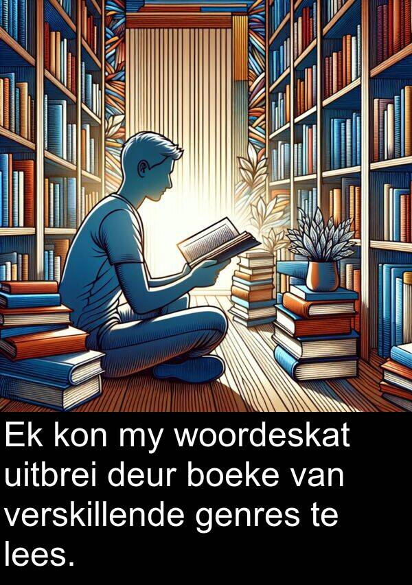 woordeskat: Ek kon my woordeskat uitbrei deur boeke van verskillende genres te lees.