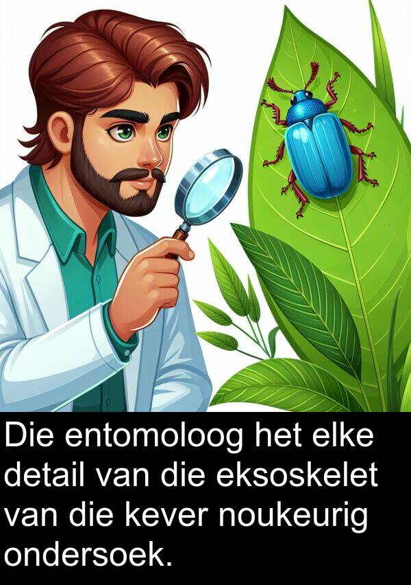 noukeurig: Die entomoloog het elke detail van die eksoskelet van die kever noukeurig ondersoek.