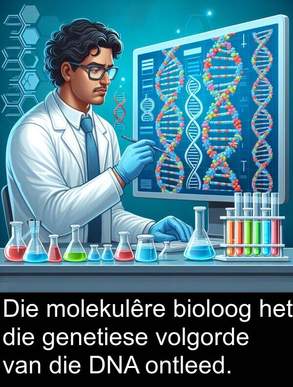 ontleed: Die molekulêre bioloog het die genetiese volgorde van die DNA ontleed.