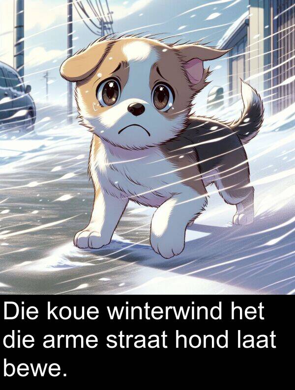 hond: Die koue winterwind het die arme straat hond laat bewe.