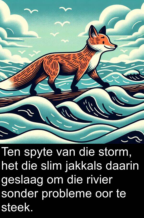 probleme: Ten spyte van die storm, het die slim jakkals daarin geslaag om die rivier sonder probleme oor te steek.