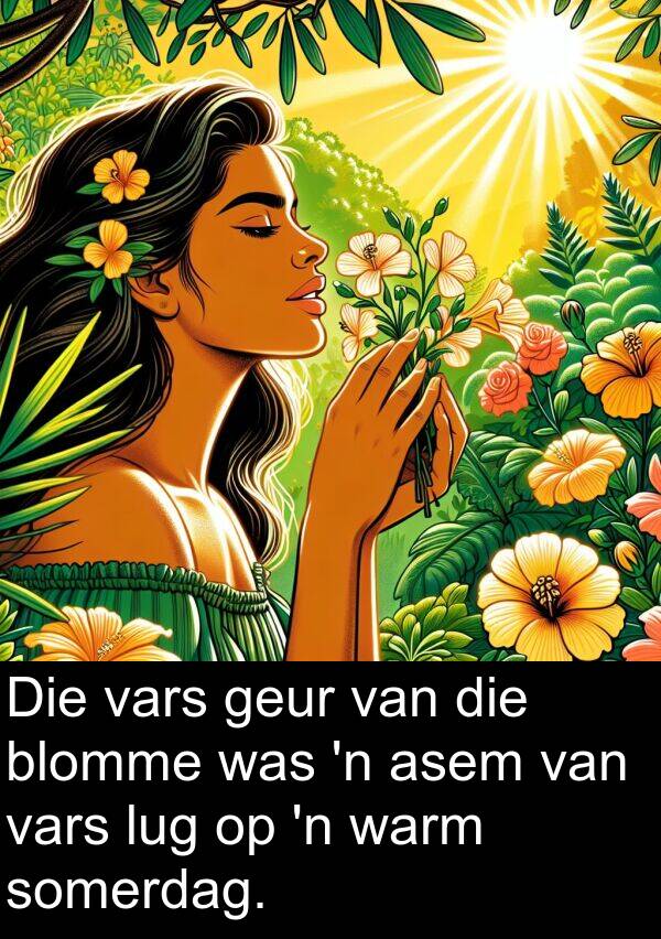 warm: Die vars geur van die blomme was 'n asem van vars lug op 'n warm somerdag.