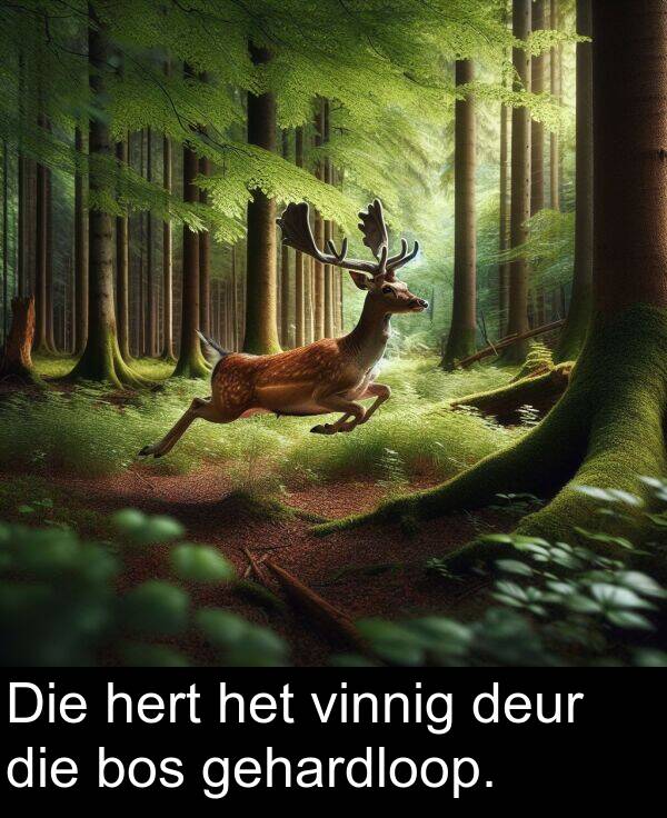 hert: Die hert het vinnig deur die bos gehardloop.