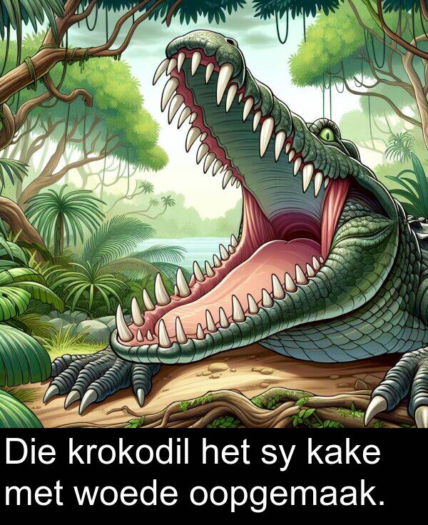 oopgemaak: Die krokodil het sy kake met woede oopgemaak.