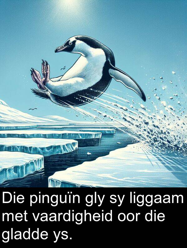 pinguïn: Die pinguïn gly sy liggaam met vaardigheid oor die gladde ys.