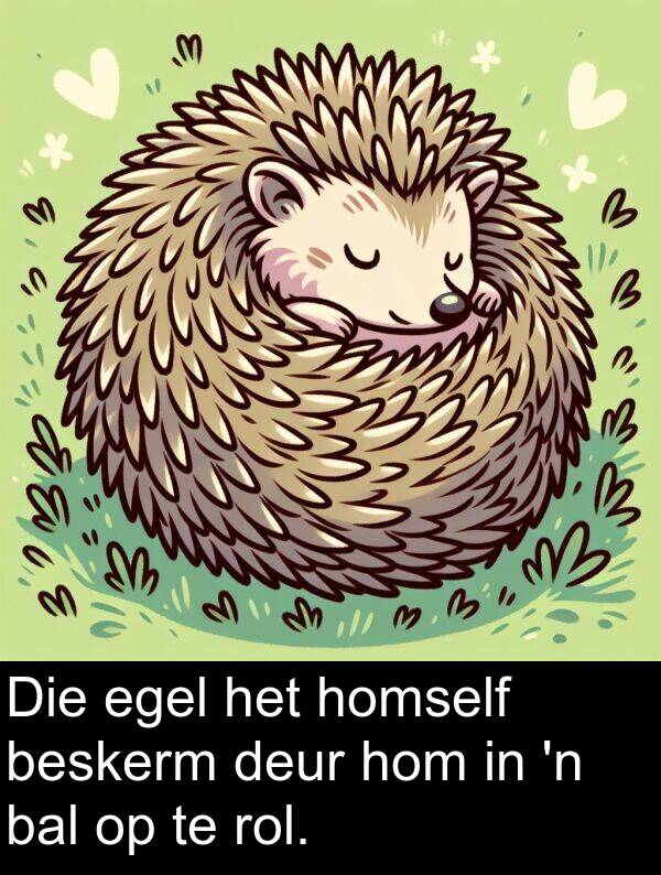 homself: Die egel het homself beskerm deur hom in 'n bal op te rol.