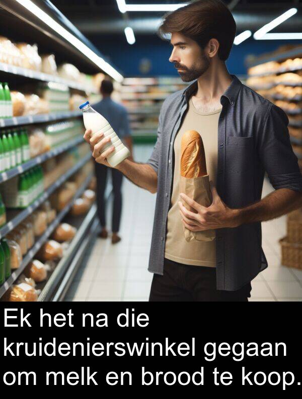 gegaan: Ek het na die kruidenierswinkel gegaan om melk en brood te koop.