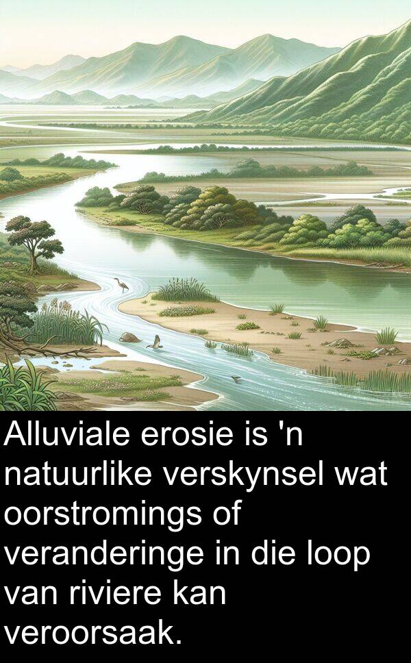 veroorsaak: Alluviale erosie is 'n natuurlike verskynsel wat oorstromings of veranderinge in die loop van riviere kan veroorsaak.