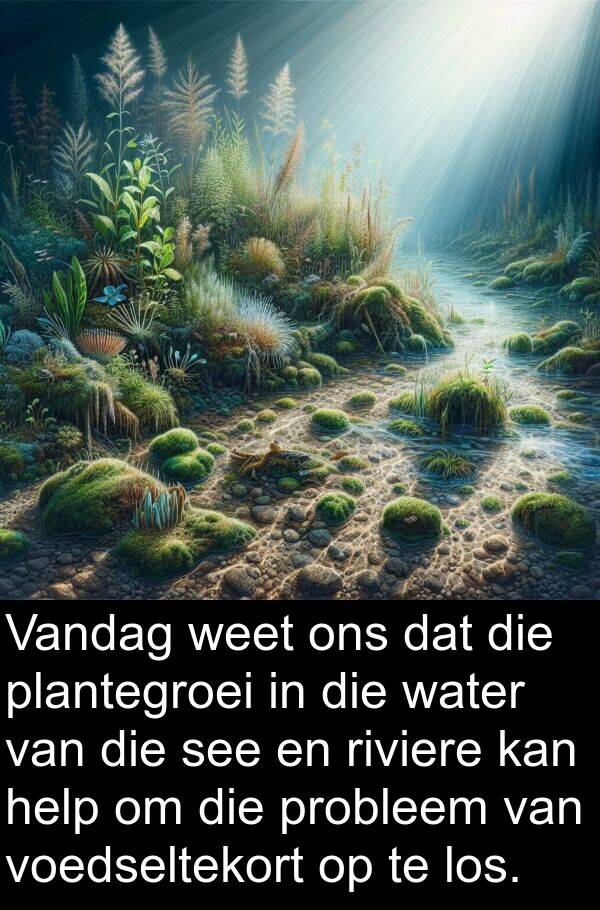 plantegroei: Vandag weet ons dat die plantegroei in die water van die see en riviere kan help om die probleem van voedseltekort op te los.