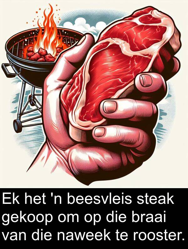 naweek: Ek het 'n beesvleis steak gekoop om op die braai van die naweek te rooster.