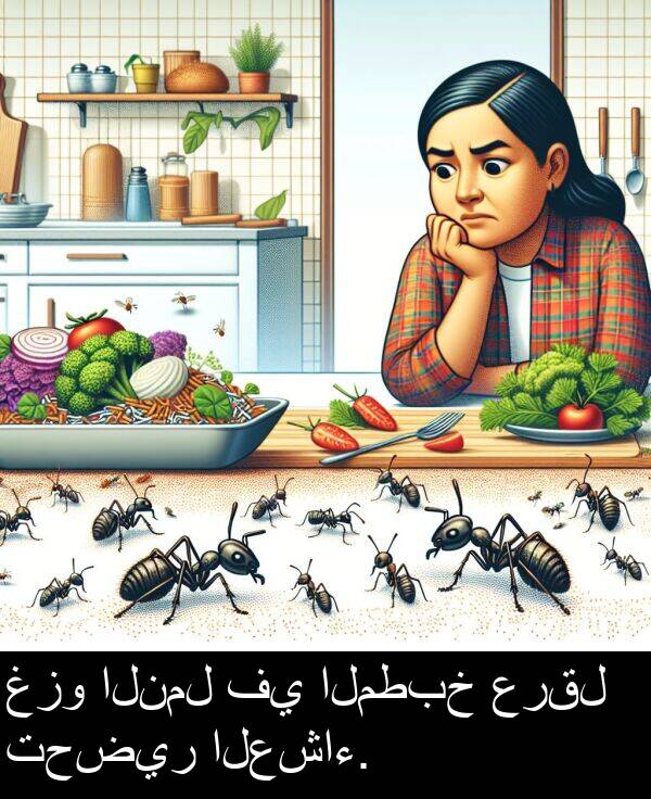 غزو: غزو النمل في المطبخ عرقل تحضير العشاء.