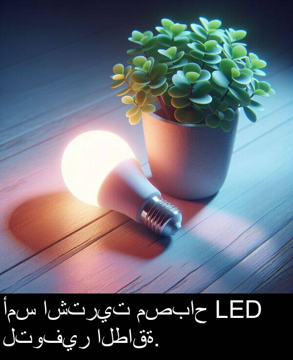 اشتريت: أمس اشتريت مصباح LED لتوفير الطاقة.