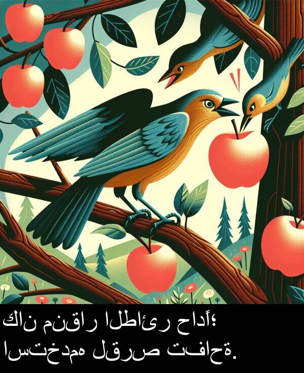 استخدمه: كان منقار الطائر حادًا؛ استخدمه لقرص تفاحة.