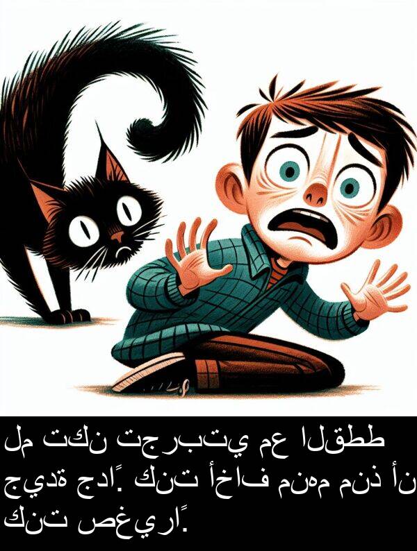 كنت: لم تكن تجربتي مع القطط جيدة جداً. كنت أخاف منهم منذ أن كنت صغيراً.