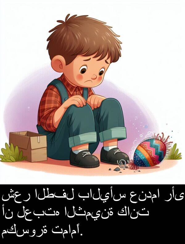 رأى: شعر الطفل باليأس عندما رأى أن لعبته الثمينة كانت مكسورة تمامًا.