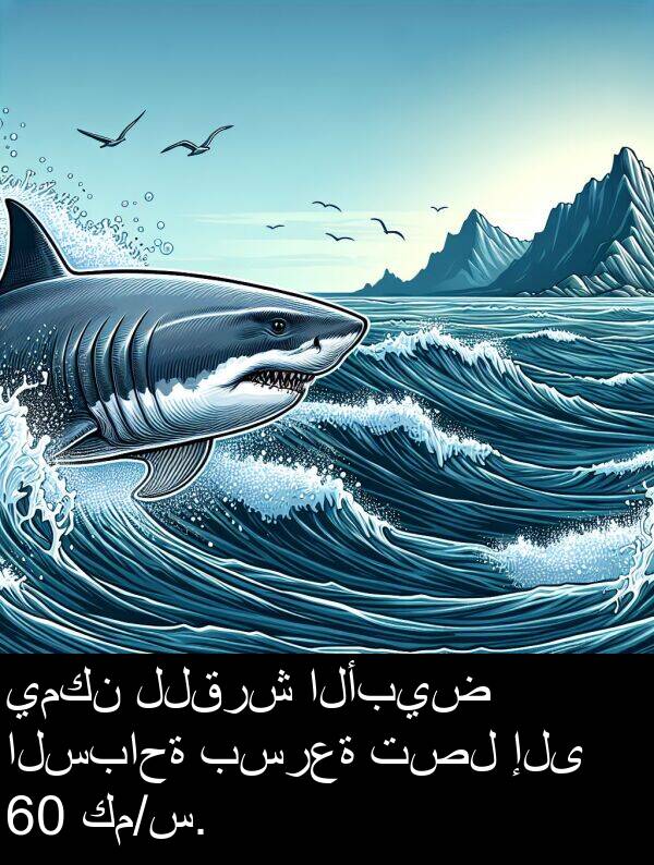 الأبيض: يمكن للقرش الأبيض السباحة بسرعة تصل إلى 60 كم/س.