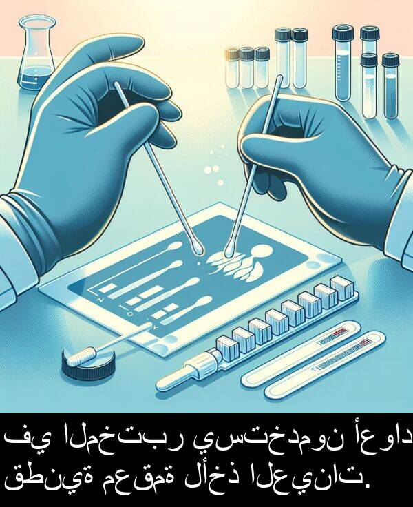 قطنية: في المختبر يستخدمون أعواد قطنية معقمة لأخذ العينات.