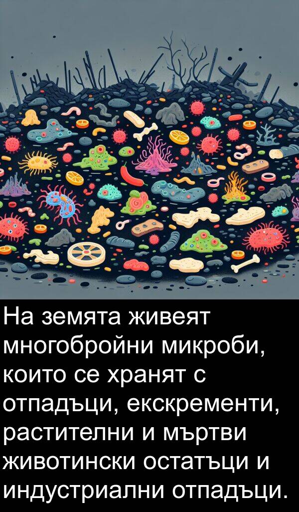 животински: На земята живеят многобройни микроби, които се хранят с отпадъци, екскременти, растителни и мъртви животински остатъци и индустриални отпадъци.